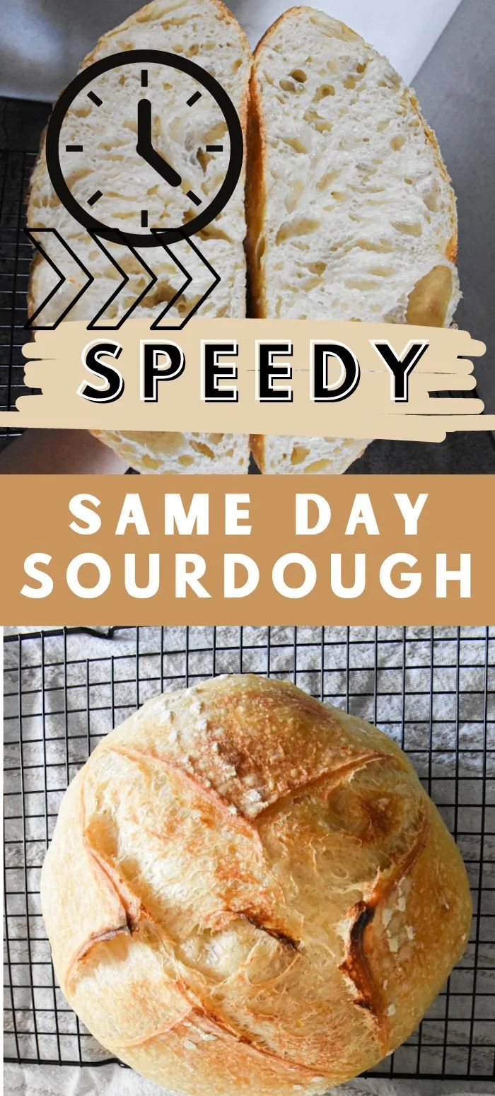 Same Day Sourdough Bread