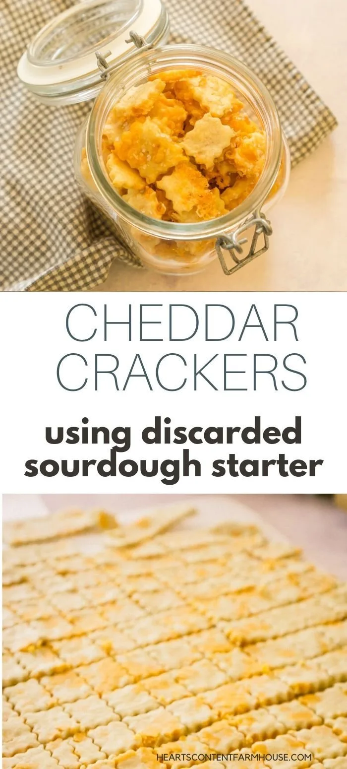 Homemade Sourdough Crackers with Cheddar Cheese