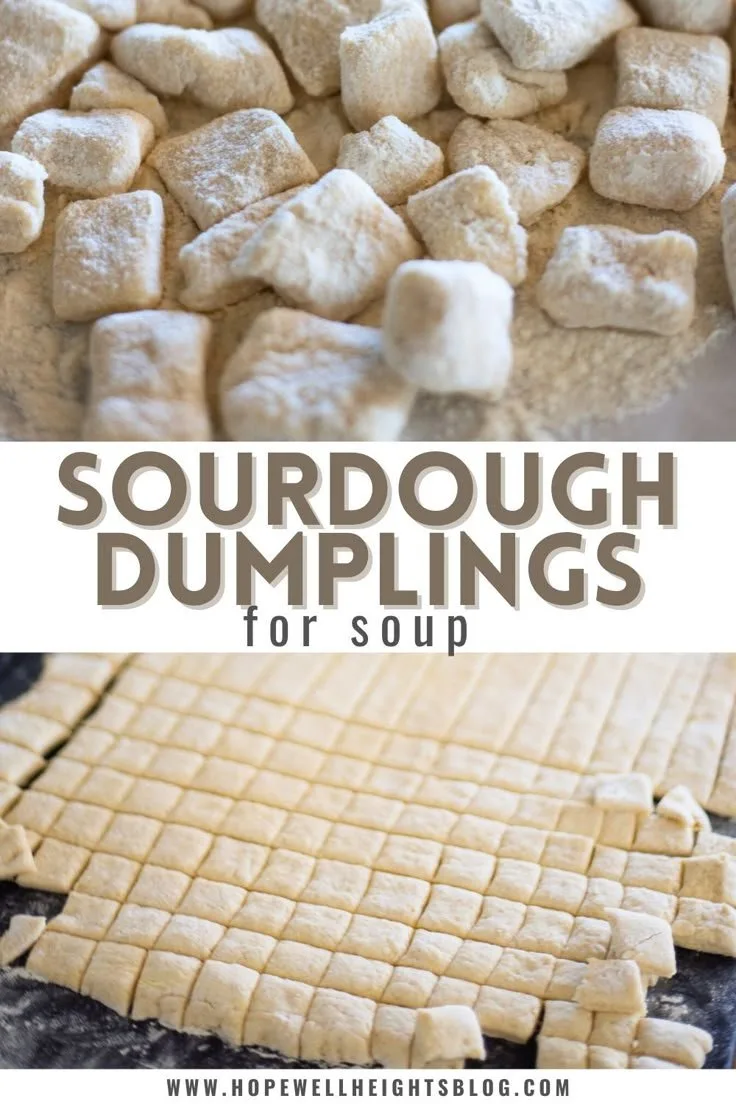 Sourdough Dumplings (Quick & Easy Discard Recipe)