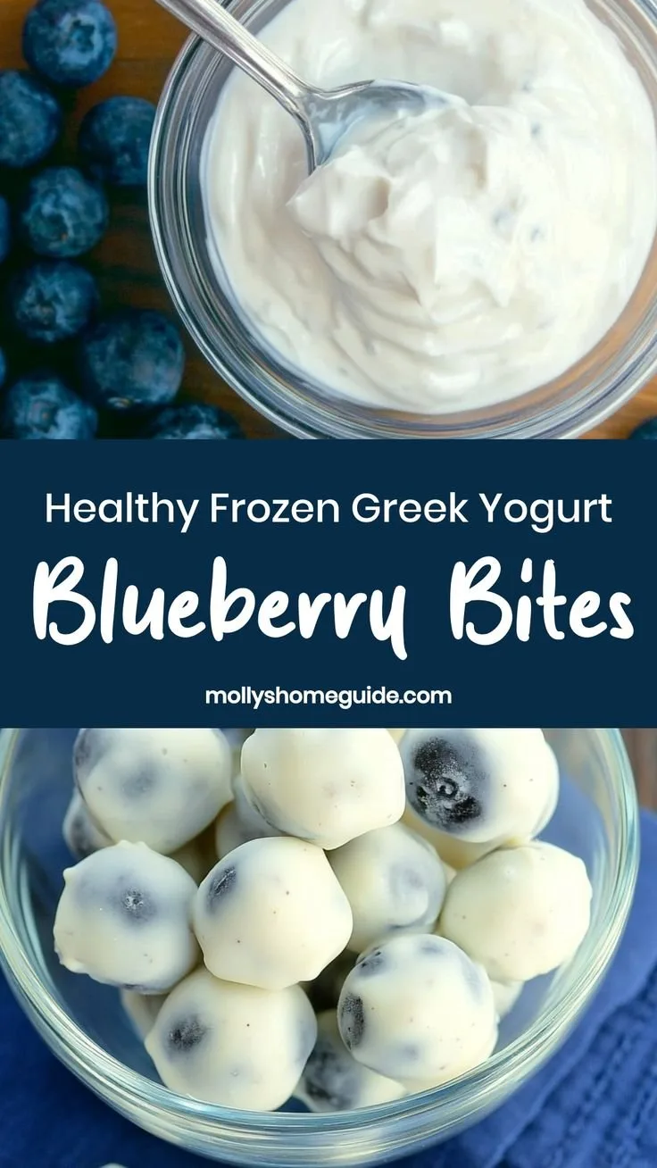 Frozen Greek Yogurt Blueberry Bites