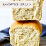 sourdough discard sandwich loaf recipe 2025 12 24 094717 150x150 1