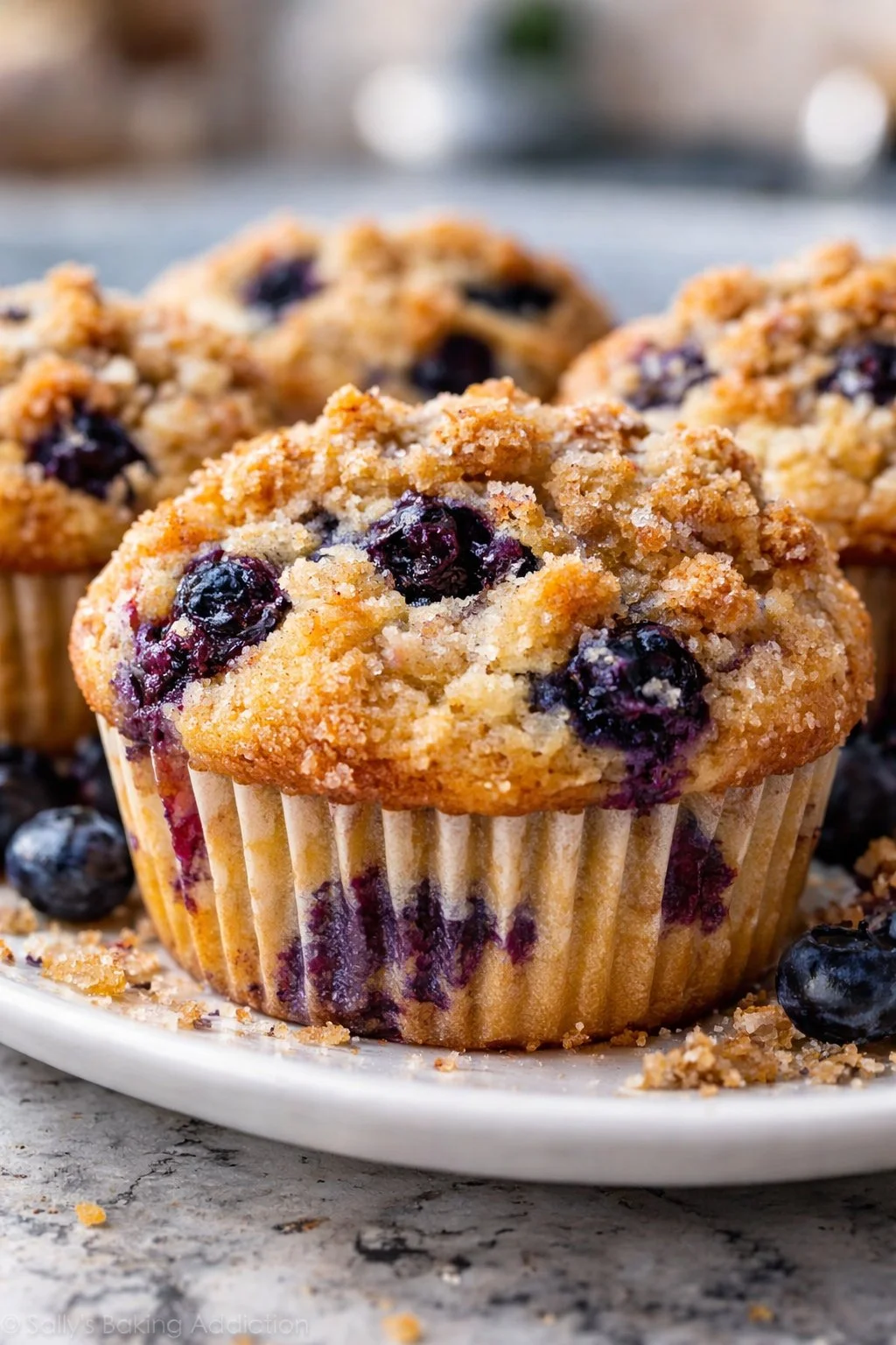 Blueberry Muffins with Streusel Crumb Topping